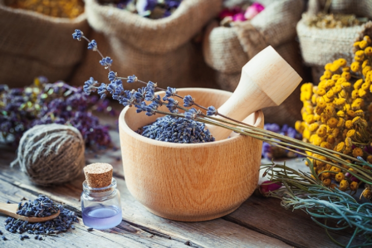 Des plantes dans un bol avec un pilon